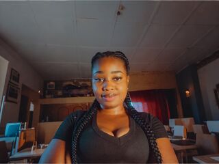 campic AriesBlossom